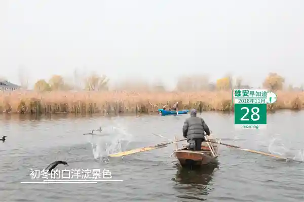 雄安早知道（2018年11月28日）