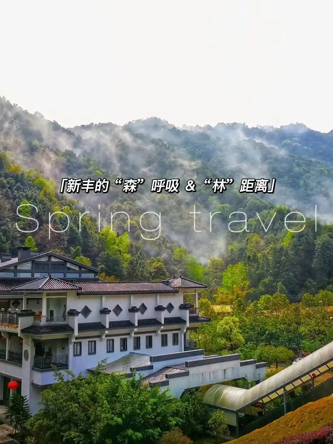 【五一游韶关】假期畅游新丰攻略！品春茶、泡温泉、摘蔬果、住美宿， 一起趣玩！